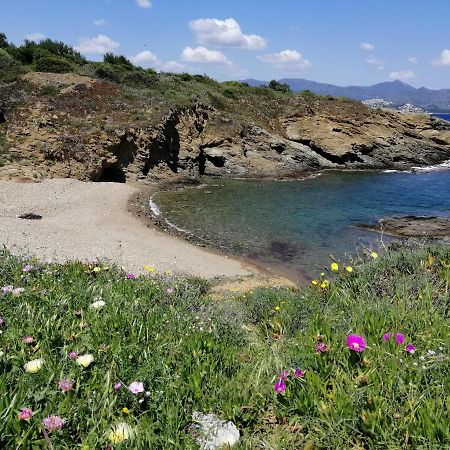 El Port De La Selva Casa Platja D'En Robert 빌라 외부 사진